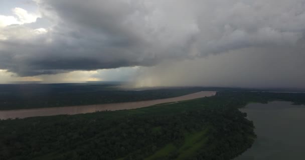 Rivier Omringd Door Uitgebreide Vegetatie Riberalta Beni Bolivia — Stockvideo