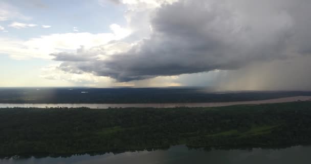 La rivière entourée d'une végétation abondante à Riberalta, Beni / Bolivie