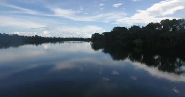 Nehir Riberalta, Beni / Bolivya 'da Kapsamlı Bitkilerle çevrili