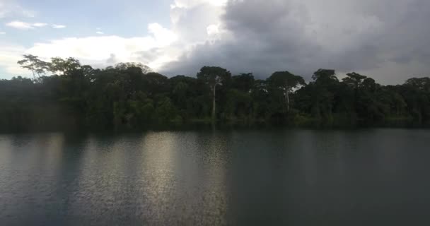 La rivière entourée d'une végétation abondante à Riberalta, Beni / Bolivie
