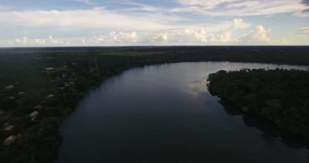 Rivière Entourée Une Végétation Abondante Riberalta Beni Bolivie — Video