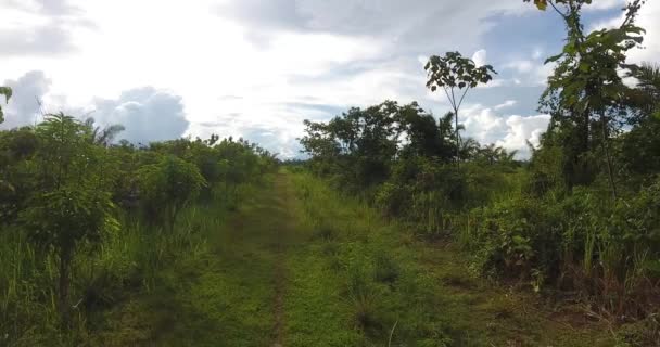 Pando Bolivien April 2017 Ackerland Mit Grasboden Männer Mähen Den — Stockvideo