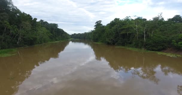Grotere Rivier Tussen Veel Vegetatie Het Amazoneregenwoud Met Klein Huis — Stockvideo