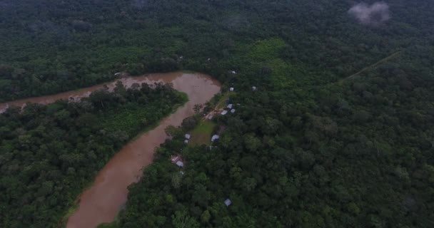 パラシオ 小さな集落 アマゾン熱帯雨林のコミュニティ パンドー ボリビアの大きな湾曲した川の岸に小さな家 — ストック動画
