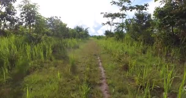 Terreno Agricolo Con Terreno Erboso Alcuni Alberi Morti Palme Che — Video Stock