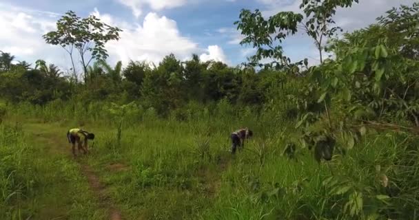 Pando Bolívia Abril 2017 Dois Homens Ligando Cortadores Grama Terra — Vídeo de Stock