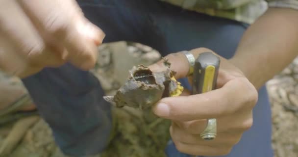 Ręka Brązowego Mężczyzny Trzymająca Woskową Celę Płynnym Miodem Środku — Wideo stockowe