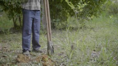 Adam yerde kumsal kabuğu kazıcı ile küçük bir çukur kazıyor. Kahverengi bir kadının yanında. 