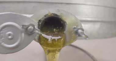 Sıvı Bal Merkezkaç Makinesinden Küçük Bal Parçalarıyla Düşüyor