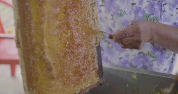Bijenteelt Proces Vrouw Met Geschilderde Nagels Verzamelen Rijpe Honing Honingraten — Stockvideo