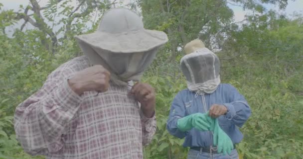 Itatiqui Santa Cruz ボリビア 2017年3月25日 Beekeing Two Men Collecting Honey — ストック動画