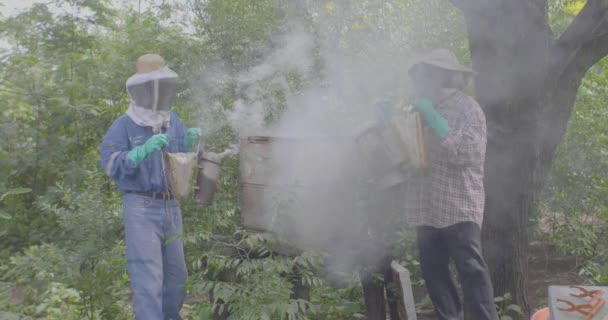 Itatiqui Santa Cruz Bolivie Mars 2017 Apiculture Deux Hommes Récoltent — Video