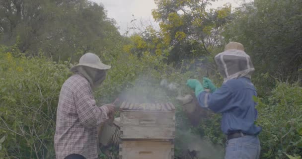 Itatiqui Santa Cruz Bolivie Mars 2017 Apiculture Deux Hommes Récoltent — Video