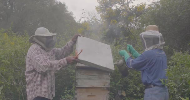 Itatiqui Santa Cruz ボリビア 2017年3月25日 Beekeing Two Men Collecting Honey — ストック動画