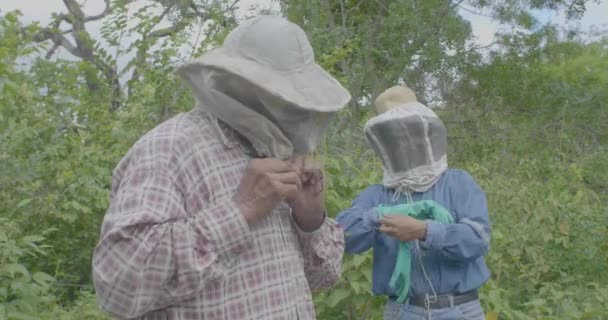 Itatiqui Santa Cruz Bolivia 2017 Beekeeping Two Men Collecting Honey — 비디오