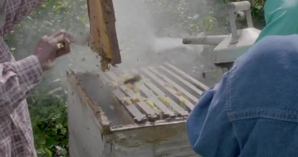 Itatiqui Santa Cruz Bolivia 2017 Beekeeping Two Men Collecting Honey — 비디오