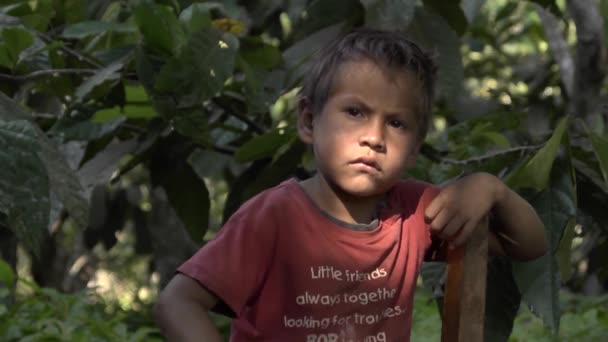 Riberalta Beni Bolivia Octubre 2015 Niño Pequeño Con Rasgos Indígenas — Vídeo de stock