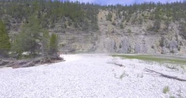 Anticosti Adası, Quebec / Kanada 'daki Orman yakınlarındaki Vegetation' ın ortasındaki Jüpiter Nehri
