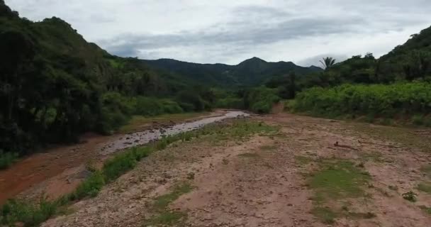 Охраняемая Территория Обширной Растительностью Сухим Ручьем Национальном Парке Амборо Самайпата — стоковое видео