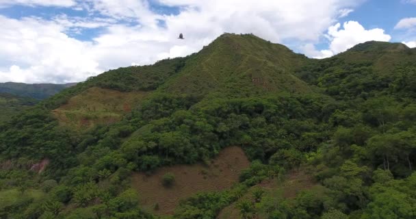 Vista Dalla Cima Della Montagna Montagne Ampia Vegetazione Nel Parco — Video Stock