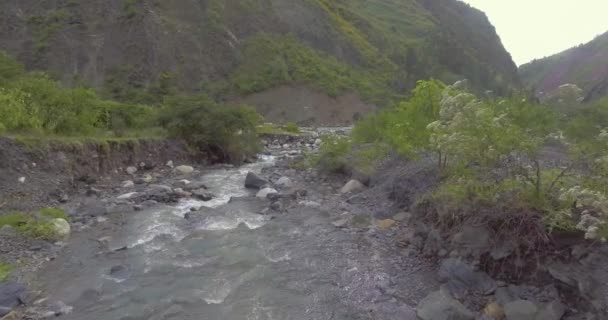 Rio Cheio Rochas Pedras Todos Tamanhos Meio Vegetação Sorata Paz — Vídeo de Stock