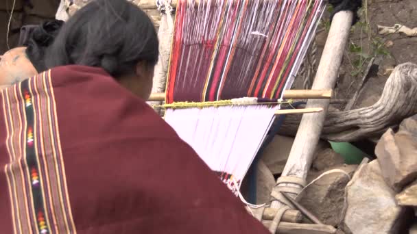 Angola Chuquisaca Bolivya Kasım 2014 Yerel Özellikleri Geleneksel Giysileri Olan — Stok video