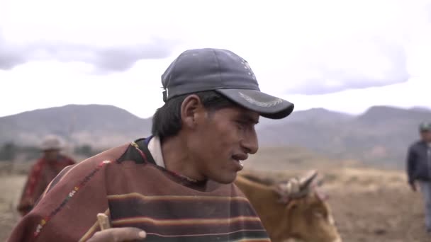 Angola Chuquisaca Boliwia Listopada 2014 Człowiek Brązowy Rdzennymi Cechami Tradycyjnymi — Wideo stockowe