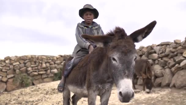 Angola Chuquisaca Bolivia November 2014 Små Barn Med Inhemska Särdrag — Stockvideo