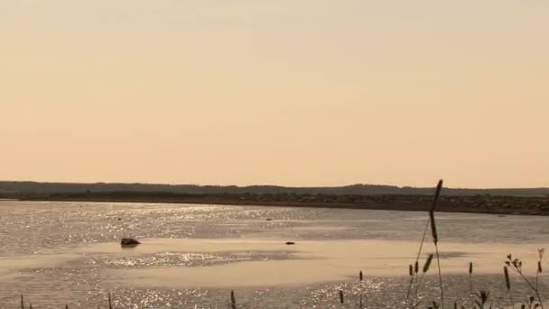 Havsvatten Med Reflektion Solen Anticosti Island Quebec Kanada — Stockvideo