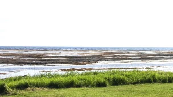 Anticosti Island Quebec Kanada Lipca 2008 Namioty Kempingowe Obok Białego — Wideo stockowe