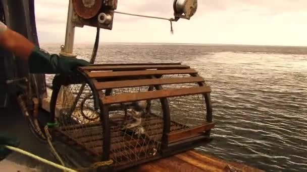 Fischfalle Aus Holzkiste Wird Von Motorboot Ins Meer Geworfen — Stockvideo