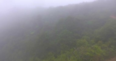 Amboro Ulusal Parkı Bolivya 'da korunan bir alandır ve dünyanın en büyük biyolojik çeşitliliklerinden biridir, muhteşem kızıl dağlar ve geniş bitki örtüsüyle karakterize edilir. 