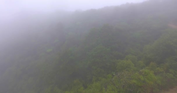 Der Amboro Nationalpark Ist Ein Geschütztes Gebiet Bolivien Und Eines — Stockvideo