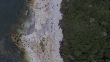 Green Pines Ormanı, Anticosti Adası, Quebec, Kanada 'da Sahilin Ayağında ve Atlantik Okyanusu' nda.
