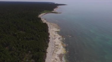 Green Pines Ormanı, Anticosti Adası, Quebec, Kanada 'da Sahilin Ayağında ve Atlantik Okyanusu' nda.