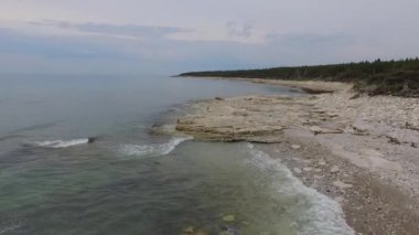 Yeşil Çam Ormanı, Sahilin Ayağında ve Atlantik Okyanusu Anticosti Adası, Quebec, Kanada 'da Kaplan Balığı ile dolu.