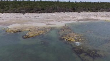 Anticosti Adası, Quebec / Kanada - 8 Temmuz 2018: Sahilde, Ormanın Yakınındaki Genç Adam, Suya Girer, Atlantik Okyanusundaki fokların fotoğraflarını çekmek için Kayalıklarda Yürür