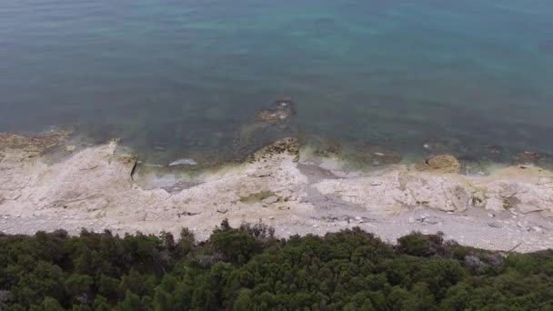 Foresta Pini Verdi Piedi Della Spiaggia Dell Oceano Atlantico Nell — Video Stock