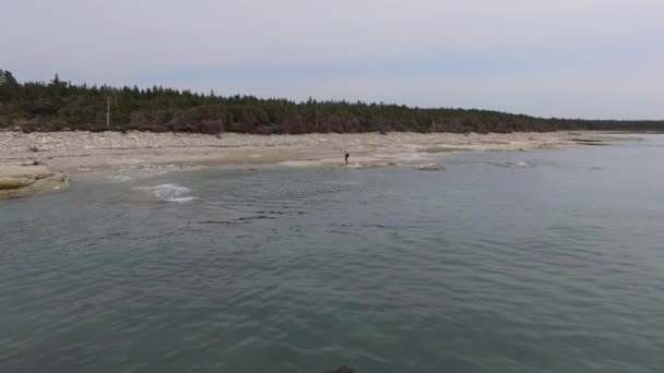 Anticosti Island Quebec Canada Luglio 2018 Giovane Uomo Sulla Costa — Video Stock