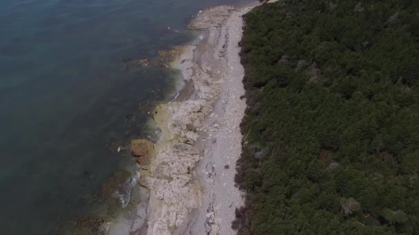 La forêt de pins verts au pied de la plage et de l'océan Atlantique à l'île d'Anticosti, Québec, Canada