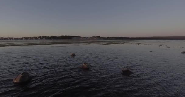 Sea Lions Standing Stones Middle Atlantic Ocean Anticosti Island Quebec — Stock video