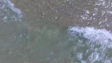 Anticosti Adası, Quebec, Kanada 'da Capelin Balıklarıyla dolu Atlantik Okyanusu