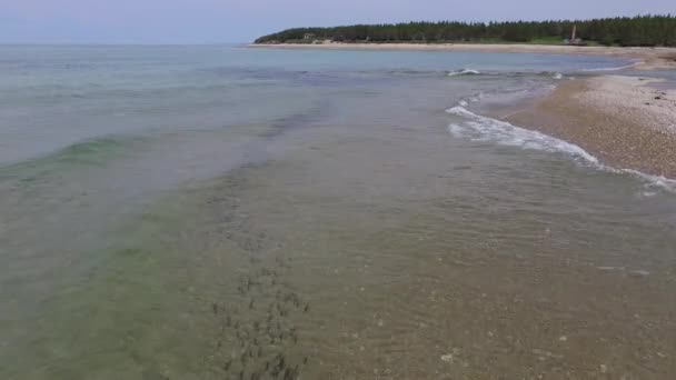 Foresta Pini Verdi Piedi Della Spiaggia Oceano Atlantico Piena Pesci — Video Stock