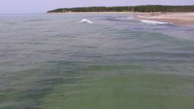 Yeşil Çam Ormanı, Sahilin Ayağında ve Atlantik Okyanusu Anticosti Adası, Quebec, Kanada 'da Kaplan Balığı ile dolu.