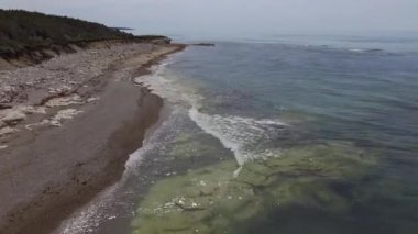 Yeşil Çam Ormanı, Sahilin Ayağında ve Atlantik Okyanusu Anticosti Adası, Quebec, Kanada 'da Kaplan Balığı ile dolu.