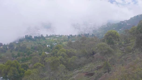 Cable Car Ride Arvi Park View Green Hills Trees Lot — Vídeos de Stock