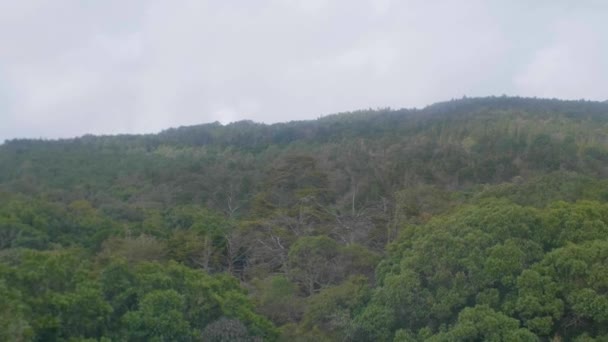 緑の丘 木々や植物の景色を望むArvi公園へのケーブルカーに乗る アンティオキア コロンビアの街から離れていくつかの家 — ストック動画