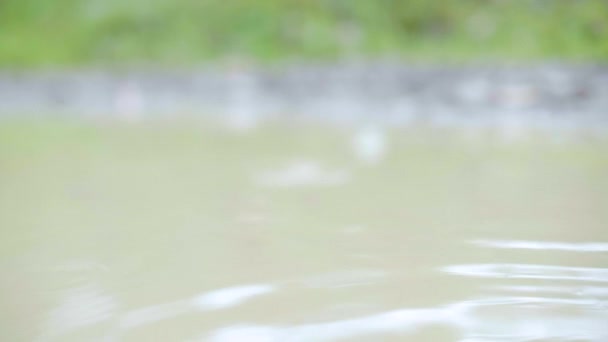 Quelques Gouttes Pluie Tombant Sur Une Flaque Eau Entourée Sol — Video