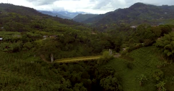 Yellow Hanging Bridge Passes River Surrounded Lot Vegetation Trees Top — Stock Video