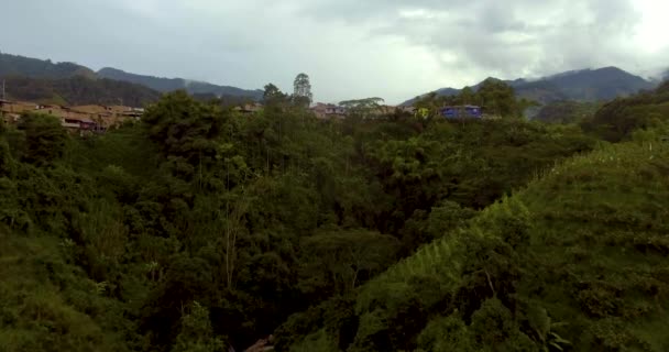 Rio Rodeado Por Uma Grande Quantidade Vegetação Árvores Topo Casas — Vídeo de Stock